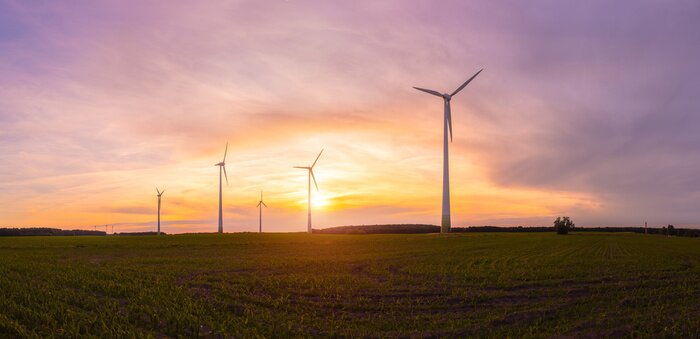 Bild Mehrere Windmühlen im Panorama