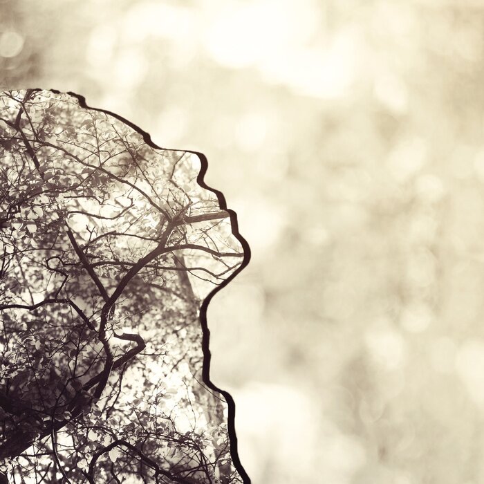 Bild Mensch und Natur Surrealismus