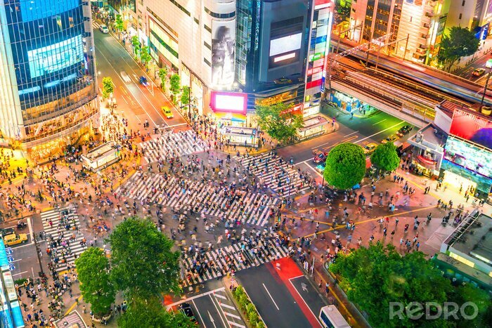 Bild Menschen an der Kreuzung in Tokio