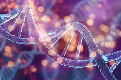 Bild Menschliche Gesundheit und DNA