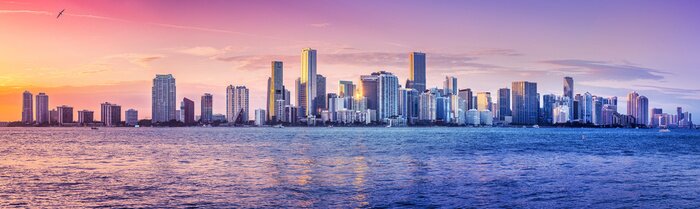 Bild Miami Panorama