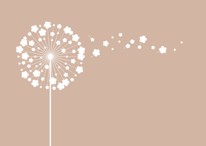Bild Minimalistische Illustration mit Pusteblume