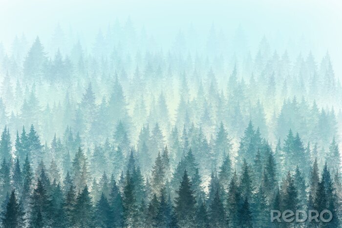 Bild Minimalistischer moderner Wald im Nebel