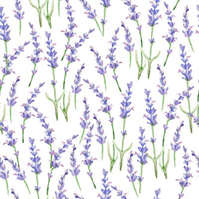 Bild Minimalistisches Lavendel-Motiv