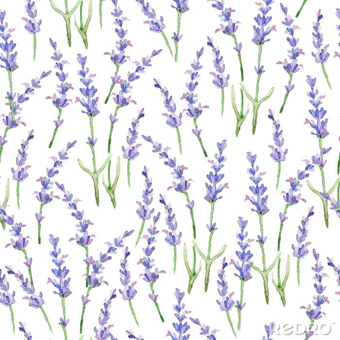 Bild Minimalistisches Lavendel-Motiv