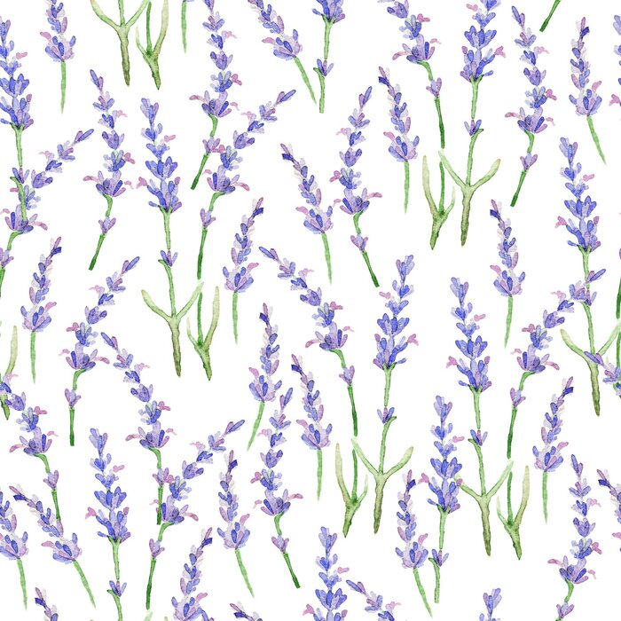 Bild Minimalistisches Lavendel-Motiv
