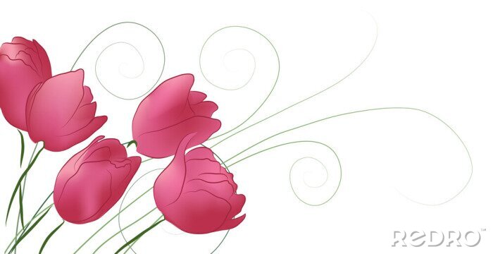 Bild Minimalistisches Motiv mit Tulpen