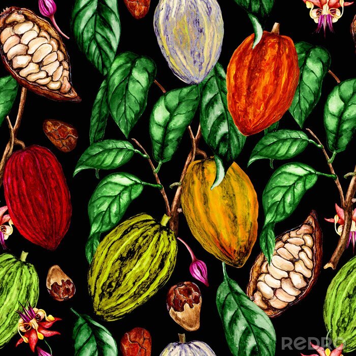 Bild Mit Aquarellfarben gemalte Kakaobohnen