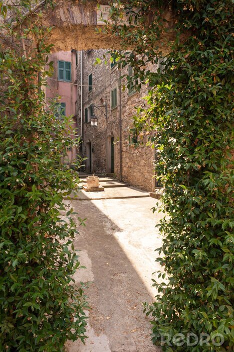 Bild Mit Efeu bewachsener Durchgang