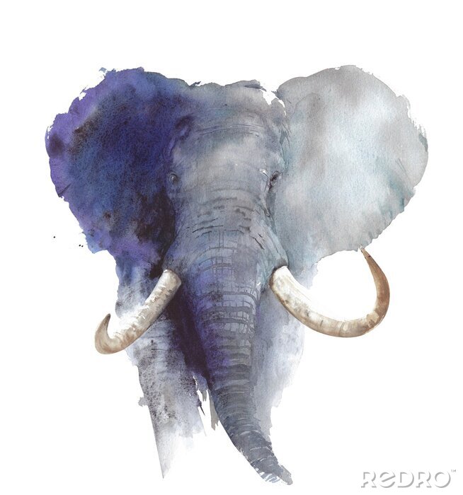 Bild Mit Farben gemalter afrikanischer Elefant