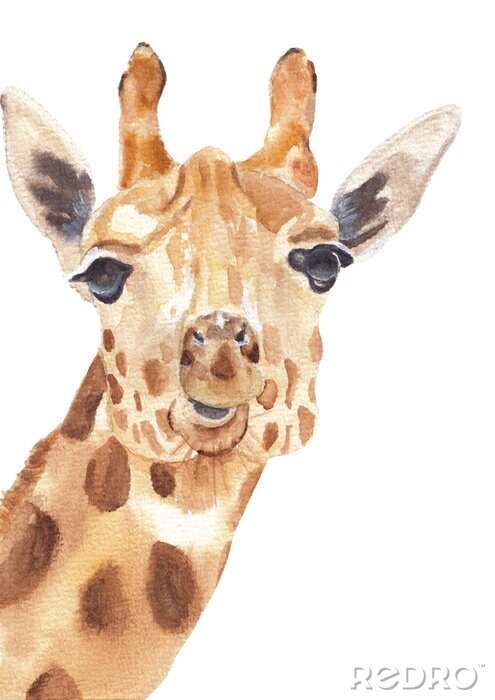 Bild Mit Farben gemaltes Porträt einer Giraffe