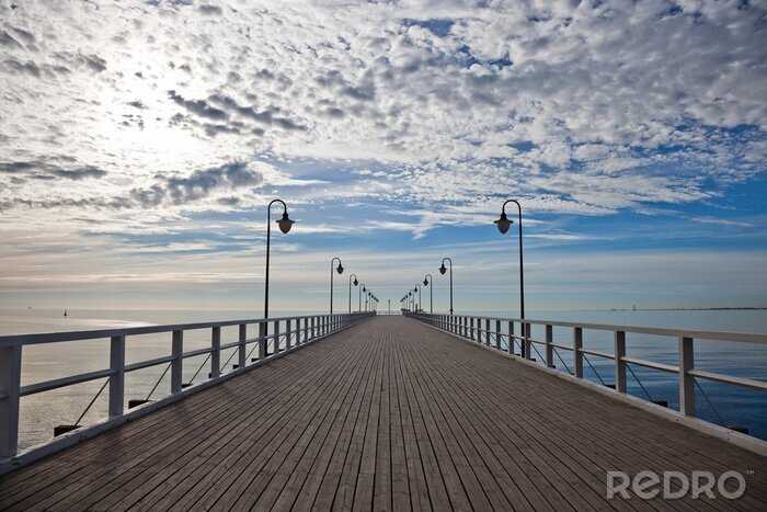 Bild Mole 3d am Morgen