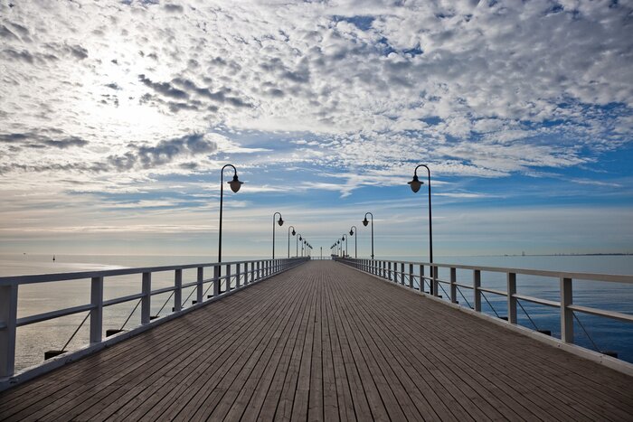 Bild Mole 3d am Morgen