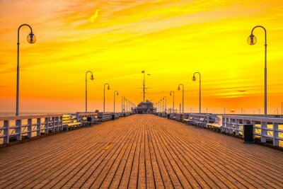 Mole auf gelbem Himmelhintergrund