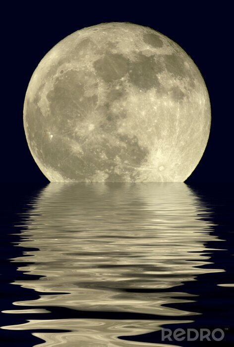 Bild Mond spiegelt sich im See