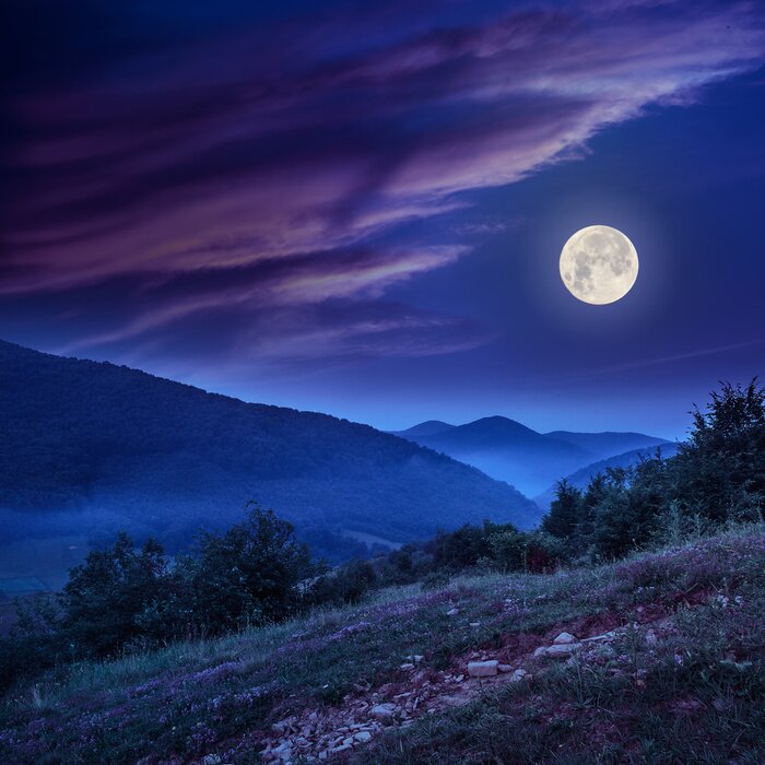 Bild Mondlicht über der Wiese