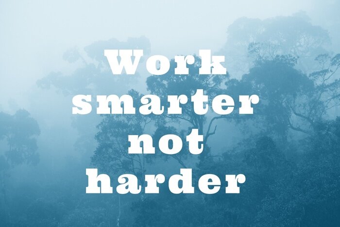 Bild Motivation Arbeit vor dem Hintergrund der Bäume