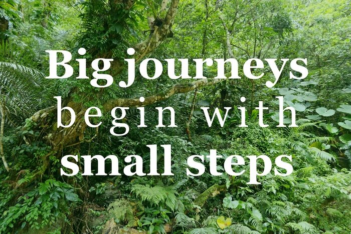 Bild Motivierende Aufschrift vor dem Hintergrund der Pflanzen