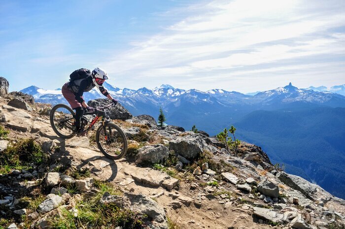 Bild Mountainbiking in Whistler