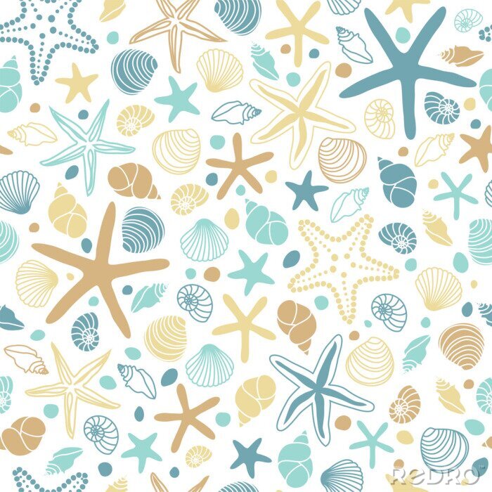 Bild Muscheln auf weißem Hintergrund