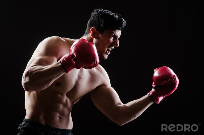 Bild Muskulöser Boxer in Boxhandschuhen