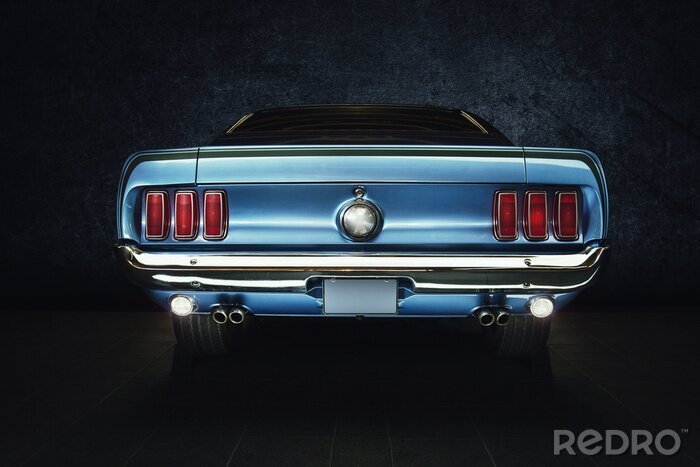 Bild Mustang in Blau