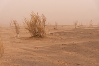 Bild Mysteriöse Wüste