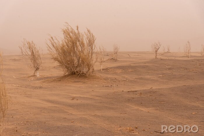 Bild Mysteriöse Wüste