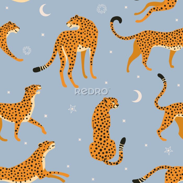 Bild Nacht Gepard