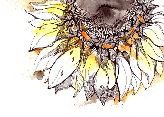 Bild Nahaufnahme von Sonnenblumenblättern