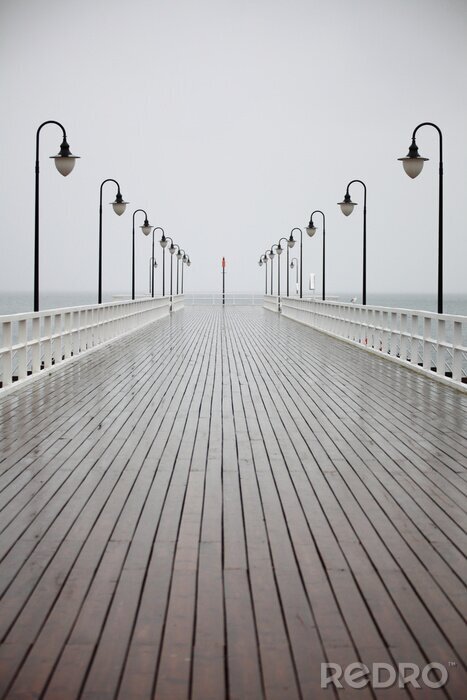 Bild Nasse Mole im Regen