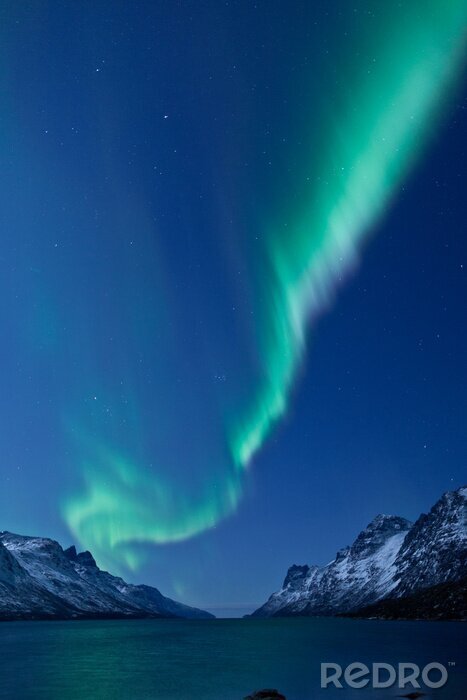 Bild Natürliches Polarlicht inmitten eines Fjordes