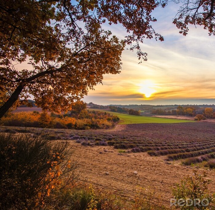 Bild Natur im Herbst