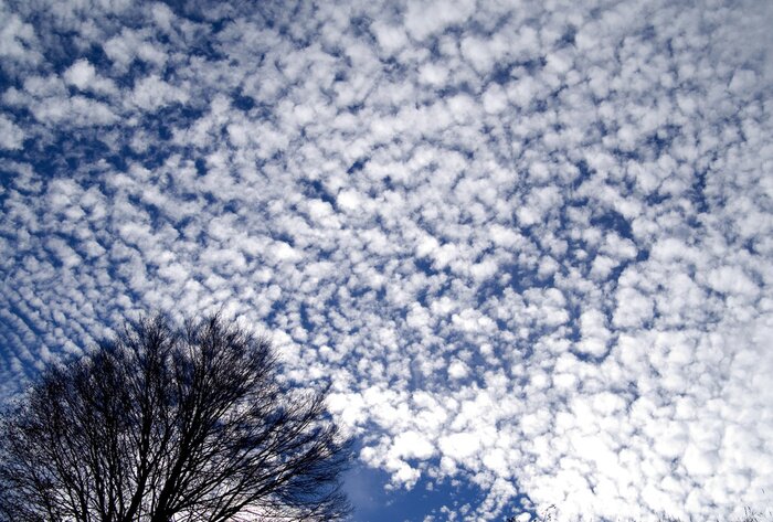 Bild Natur im Herbst