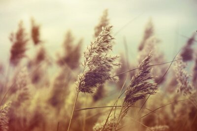 Natur im Vintage-Stil