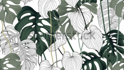 Bild Natur in Schwarz und Weiß