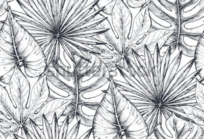 Bild Natur schwarz-weiß gezeichnet