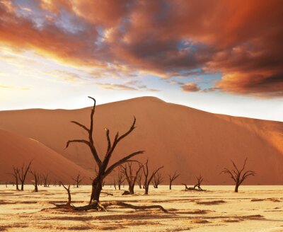 Natur und Landschaften der Wüste am Tag