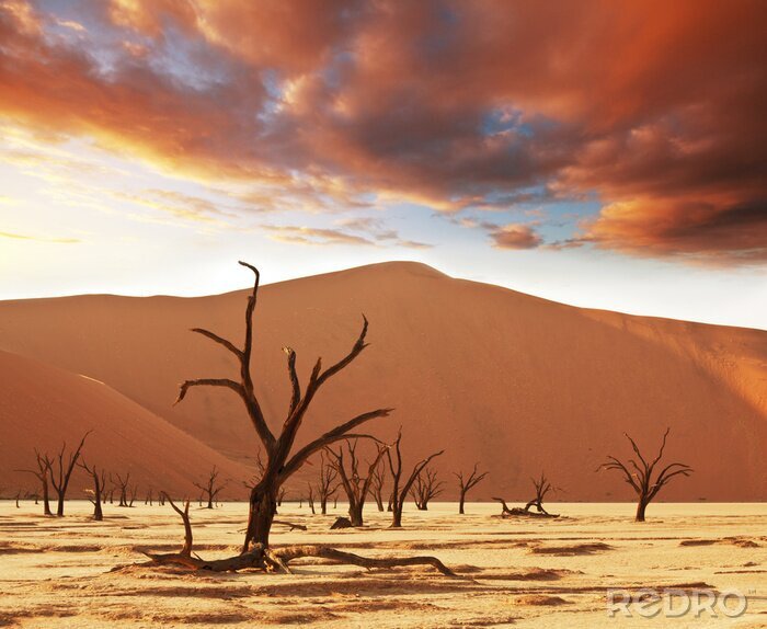 Bild Natur und Landschaften der Wüste am Tag