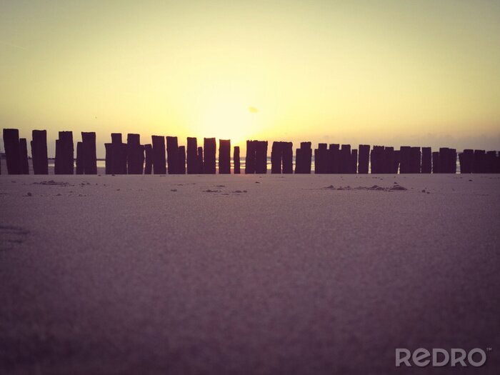 Bild Natur und Sonnenuntergang