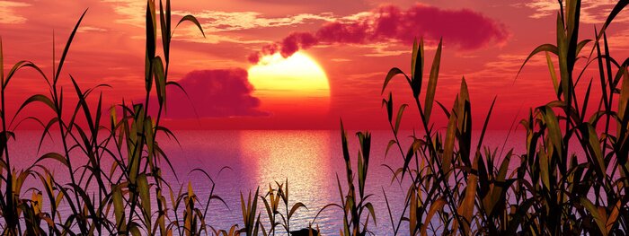 Bild Natur und Sonnenuntergang