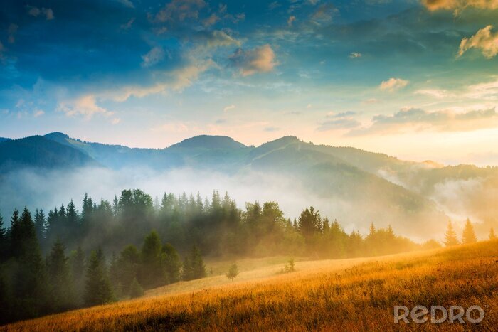Bild Nebel in den Bergen