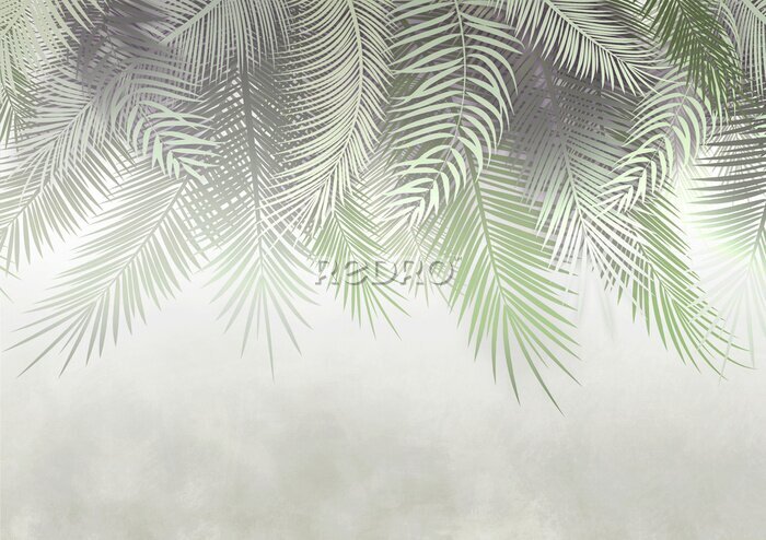 Bild Neblige Palmblätter an der Wand