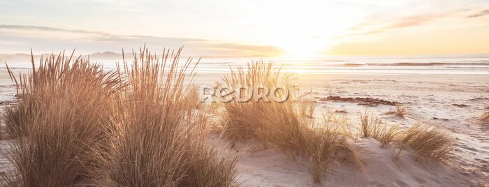 Bild Neuseelands Sonnenstrand