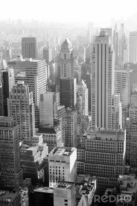 Bild New Yorker Landschaft schwarz-weiß