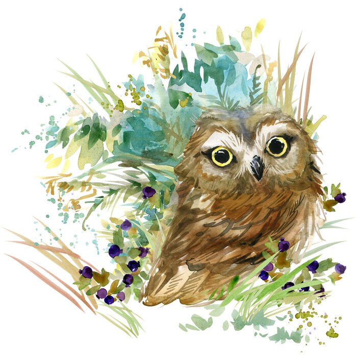 Bild Niedliche Aquarell-Eule