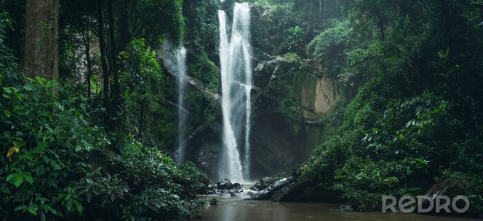 Bild Niedriger Wasserfall im Wald