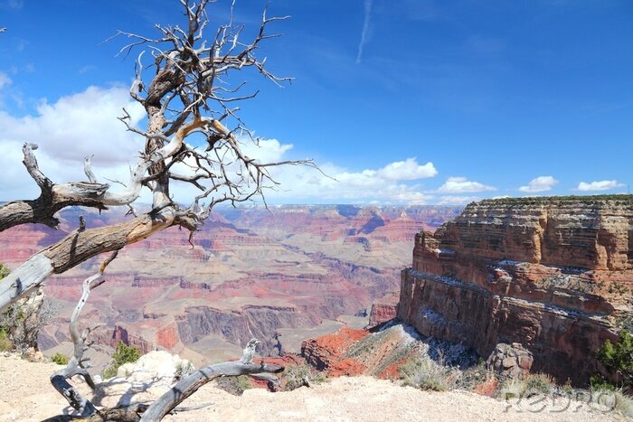 Bild Nordamerika und Grand Canyon