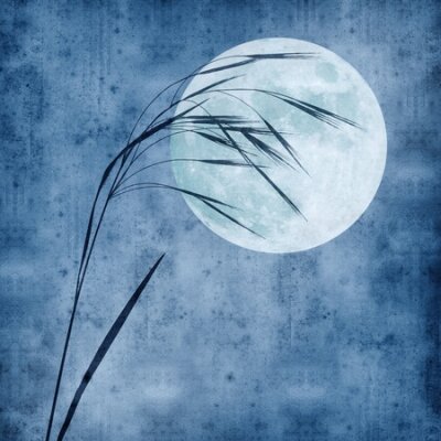 Bild old paper background with grass stalk and full moon