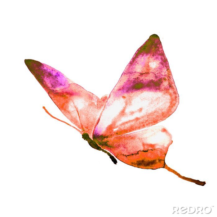 Bild Orangefarbener Schmetterling in Bewegung